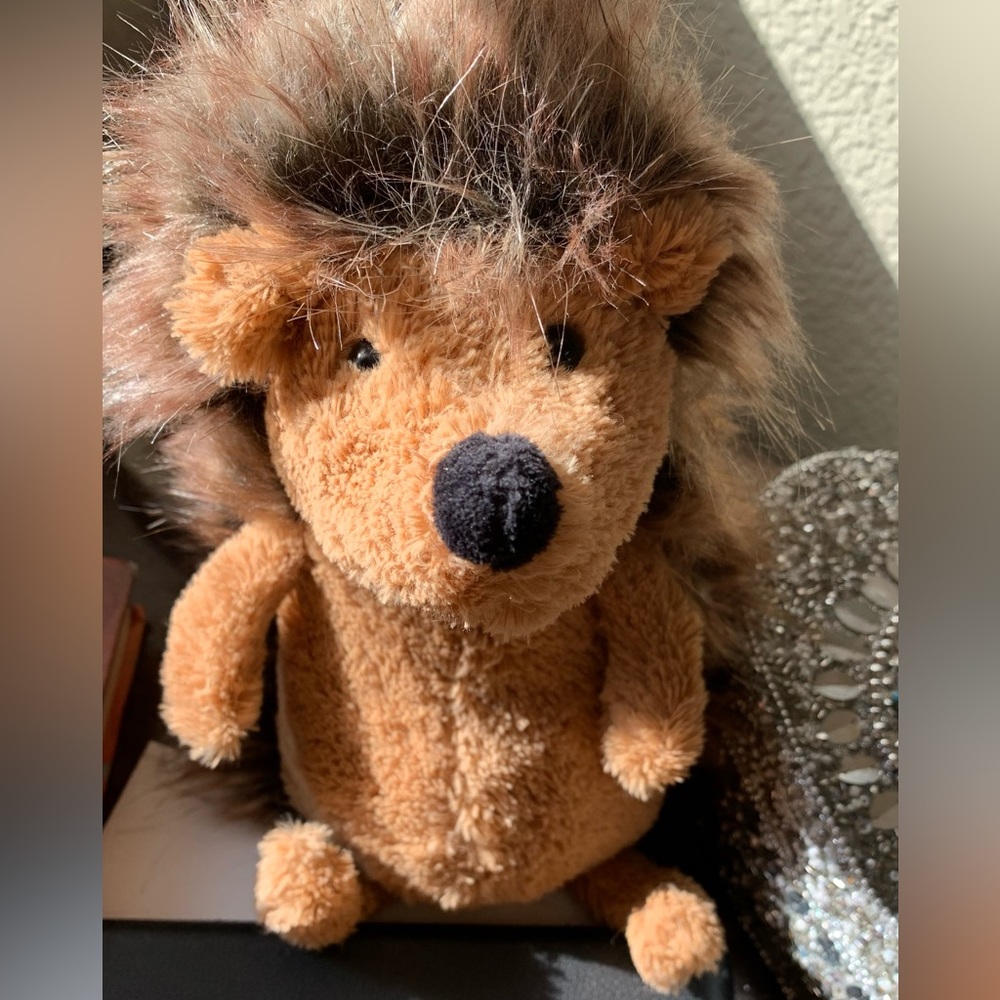 hedgehog with natural fur hair